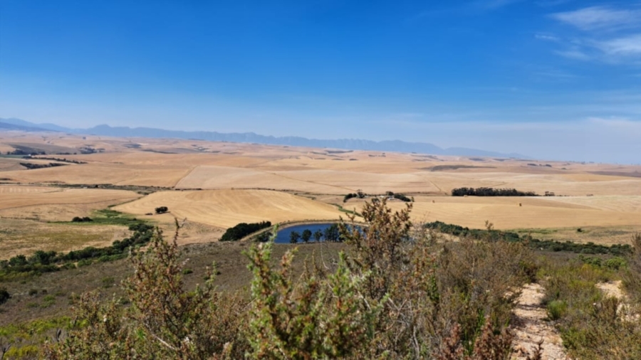 0 Bedroom Property for Sale in Caledon Rural Western Cape